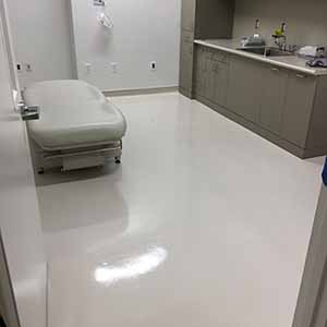 Blue Moon Professional Cleaning Services