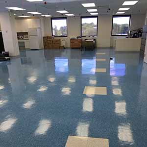 Blue Moon Professional Cleaning Services