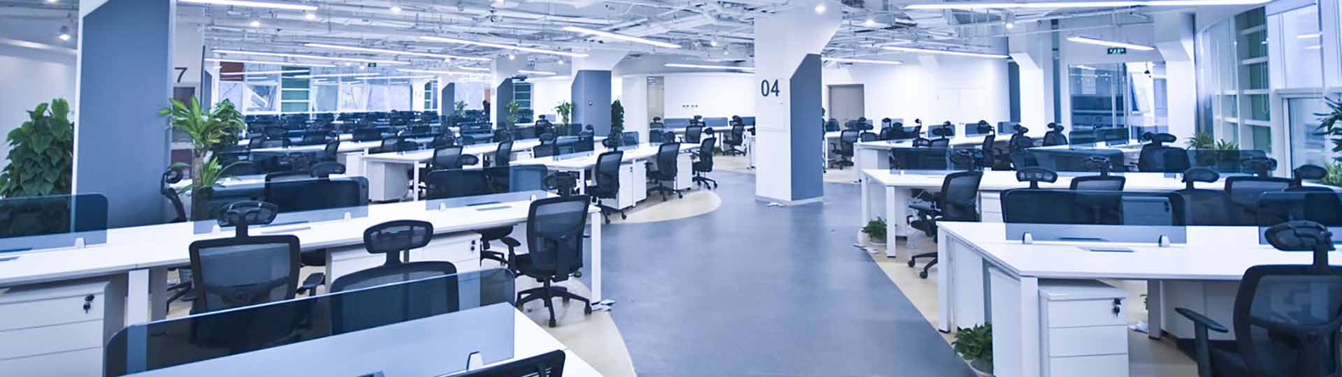 Blue Moon Professional Cleaning Services