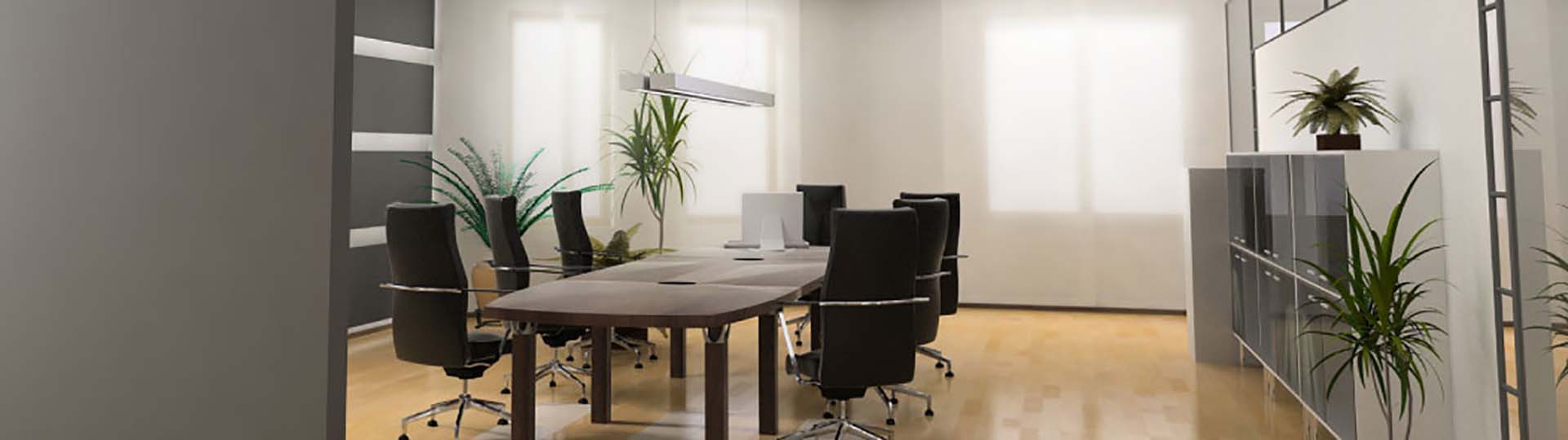 Blue Moon Professional Cleaning Services