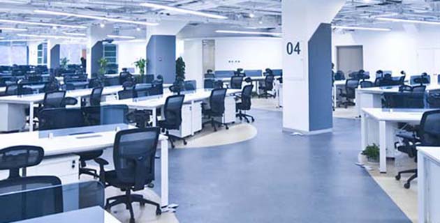 Blue Moon Professional Cleaning Services