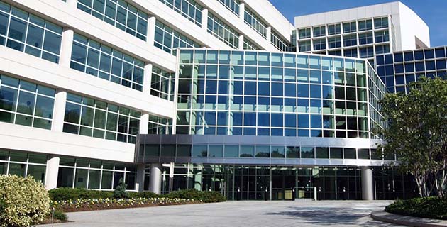 Blue Moon Professional Cleaning Services