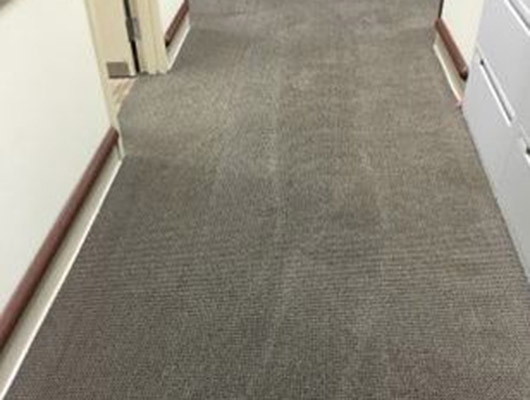 Blue Moon Professional Cleaning Services