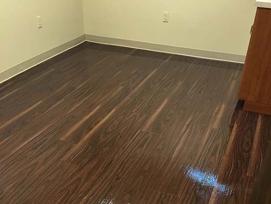 Blue Moon Professional Cleaning Services