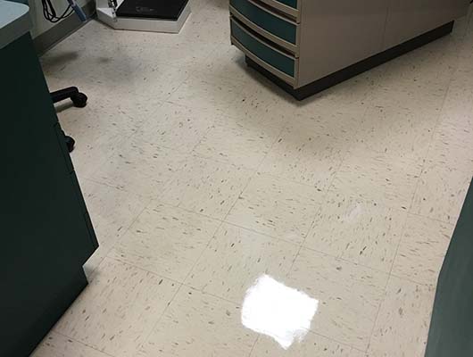 Blue Moon Professional Cleaning Services