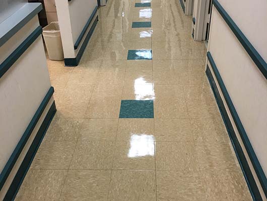 Blue Moon Professional Cleaning Services