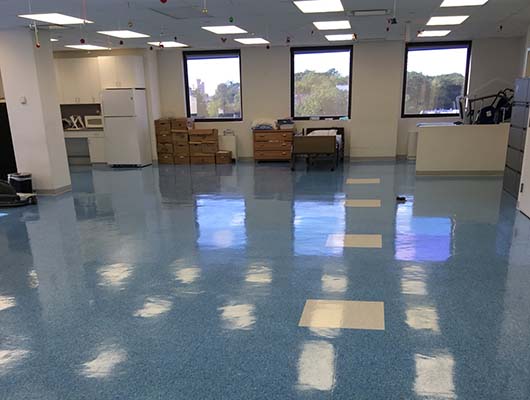 Blue Moon Professional Cleaning Services