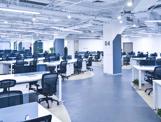 Blue Moon Professional Cleaning Services